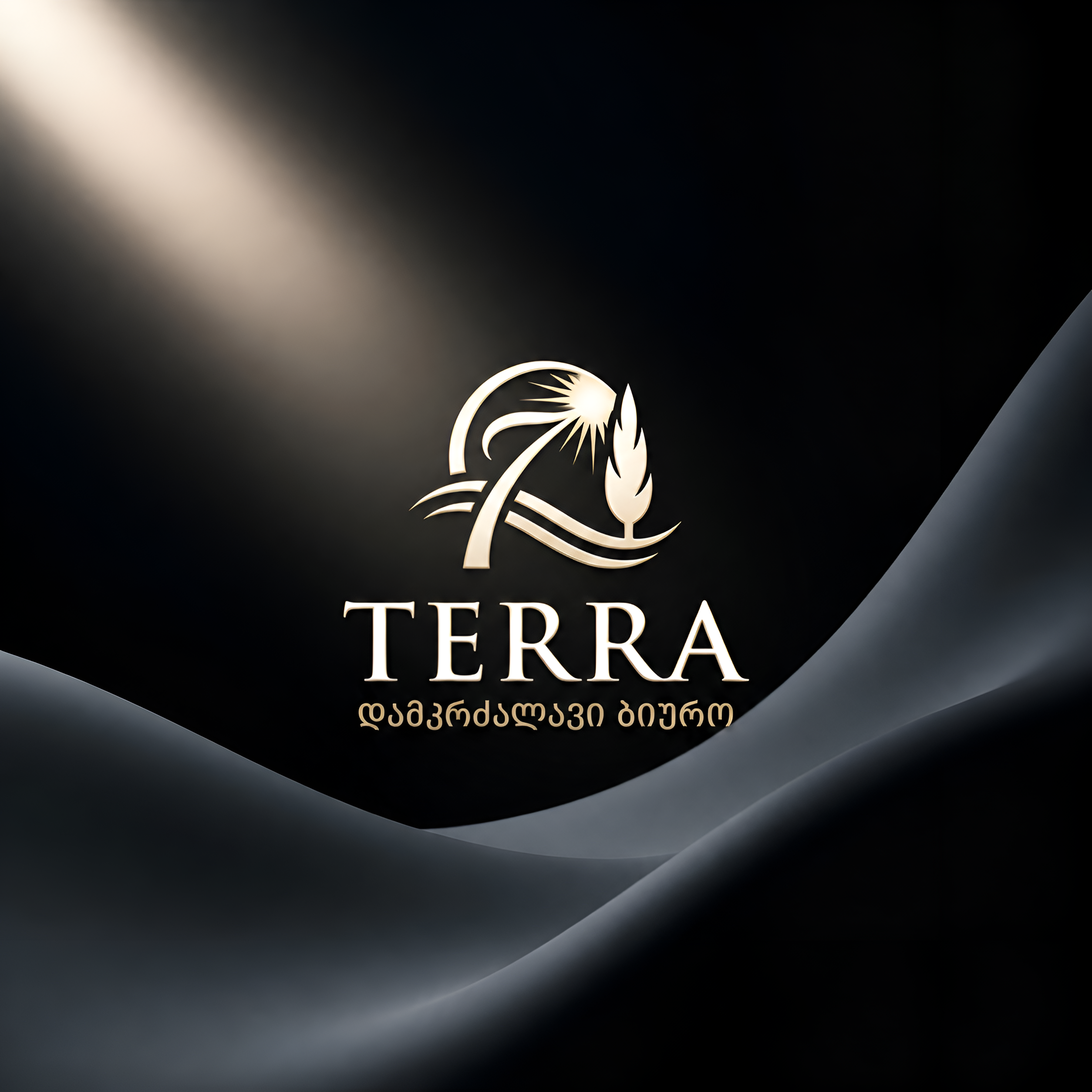 Terra დამკრძალავი ბიუროს ლოგო